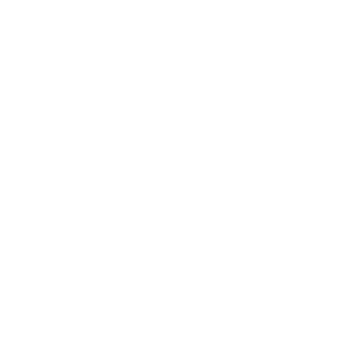 Car Suspension