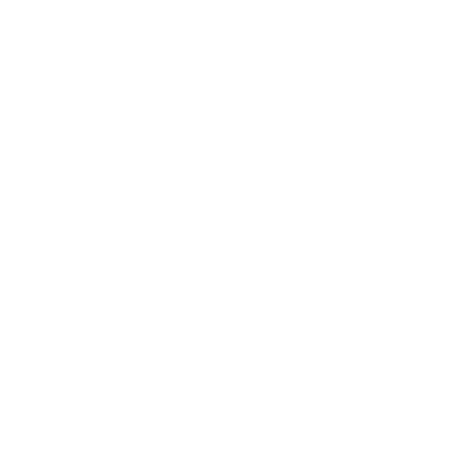 Timing Belts
